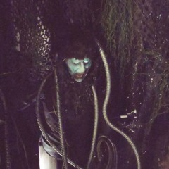 Neuroboric Forms - 1-7