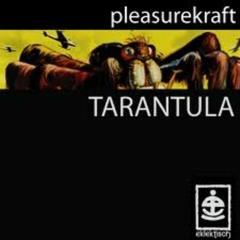 Pleasurekraft - Tarantula (Dj Kape & Christian Montechistro remix) 2nd prew