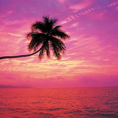 Spring feeling - THIS IS LITHUANIA