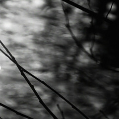 Those Wretched Comets