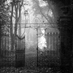 Canons for the Longest Day (2010)