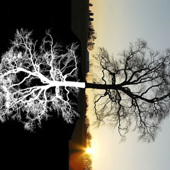 Difference (Marc Neyen+ Pheek)
