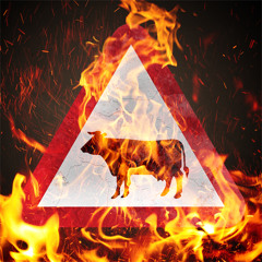 FireFarm - Break Out
