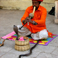 Charmeur de serpents