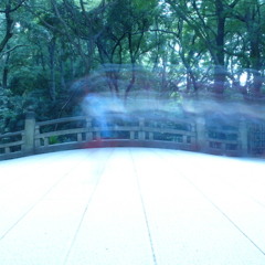 Winkler by Galapagoose (Cropsie Remix)