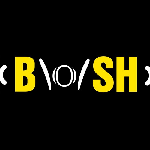 Indecent Noise - Radio Bosh 010