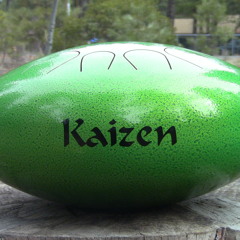 Slap Happy Kaizen Steel Tongue Drum F# Big Bear & Djembe