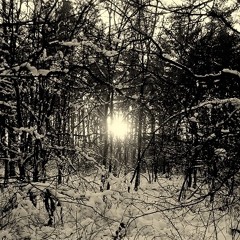Dwaalklank - Lashed by Ancient Frostwinds
