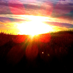 Almost Broke a Pattern