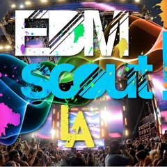EDM SCOUT LA! - 3/29/13