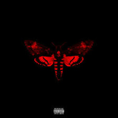 Lil Wayne - Curtains (feat. Boo)