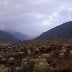 Los Que Mueren Por La Vida de Ali Primera Interpretada por Mykeru - Descarga Gratuita