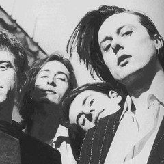 animal nitrate (suede cover)
