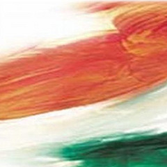 Jana Gana Mana (The Indian national anthem)