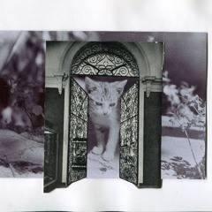 modiac - jalinek transpose (ñenado remix)