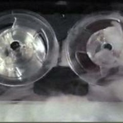 FleshCat - It's Like This