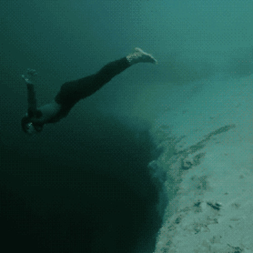 Embracing Change Through Adaptation