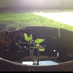 Beat boxing freestyle w/ Gabe Carrol, Peter Carrol, Terrance Montgomery, Emily Flood, & Matthew Flood