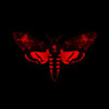 Lil Wayne Trigger Finger Instrumental By iDBeatz