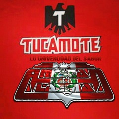 VOLVERE CONTENTO**TOPACIOS **