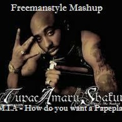 Tupac vs M.I.A - How Do you want a Paperplane? ( 2013 DJ Freemanstyle Mashup )
