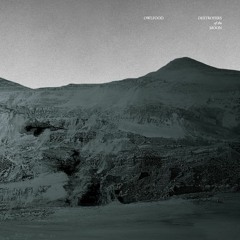 DESTROYERS OF THE MOON