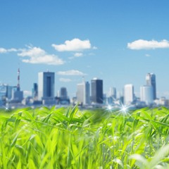 Tokyo