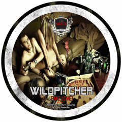 WILDPITCHER - fake love
