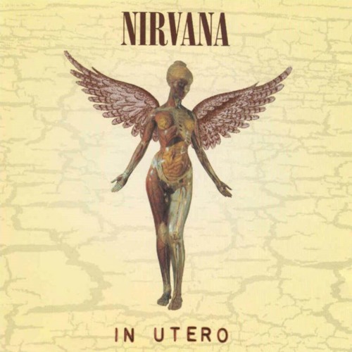 NIRVANA IN UTERO HEART SHAPED BOX