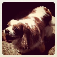 Her Eyes (Acoustic Demo) - Focusrite CM25