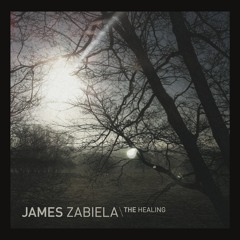 James Zabiela 'The Healing' (Born Electric)