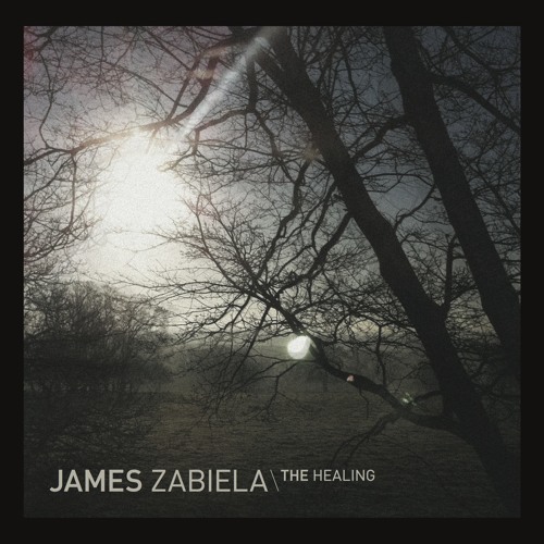 James Zabiela 'The Healing' (Born Electric)