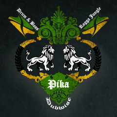Pika - Brand new