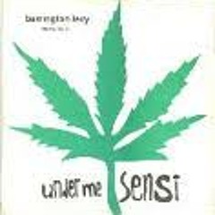 Under Me Sensi (Mr Vegas, Alozade, Hollow Point) Ti'Fred Remix Drum&Bass