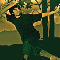 #34 Johan - Way of the Shaolin Master(used)