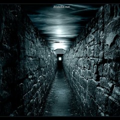 8 bars für nmzs- ferman part