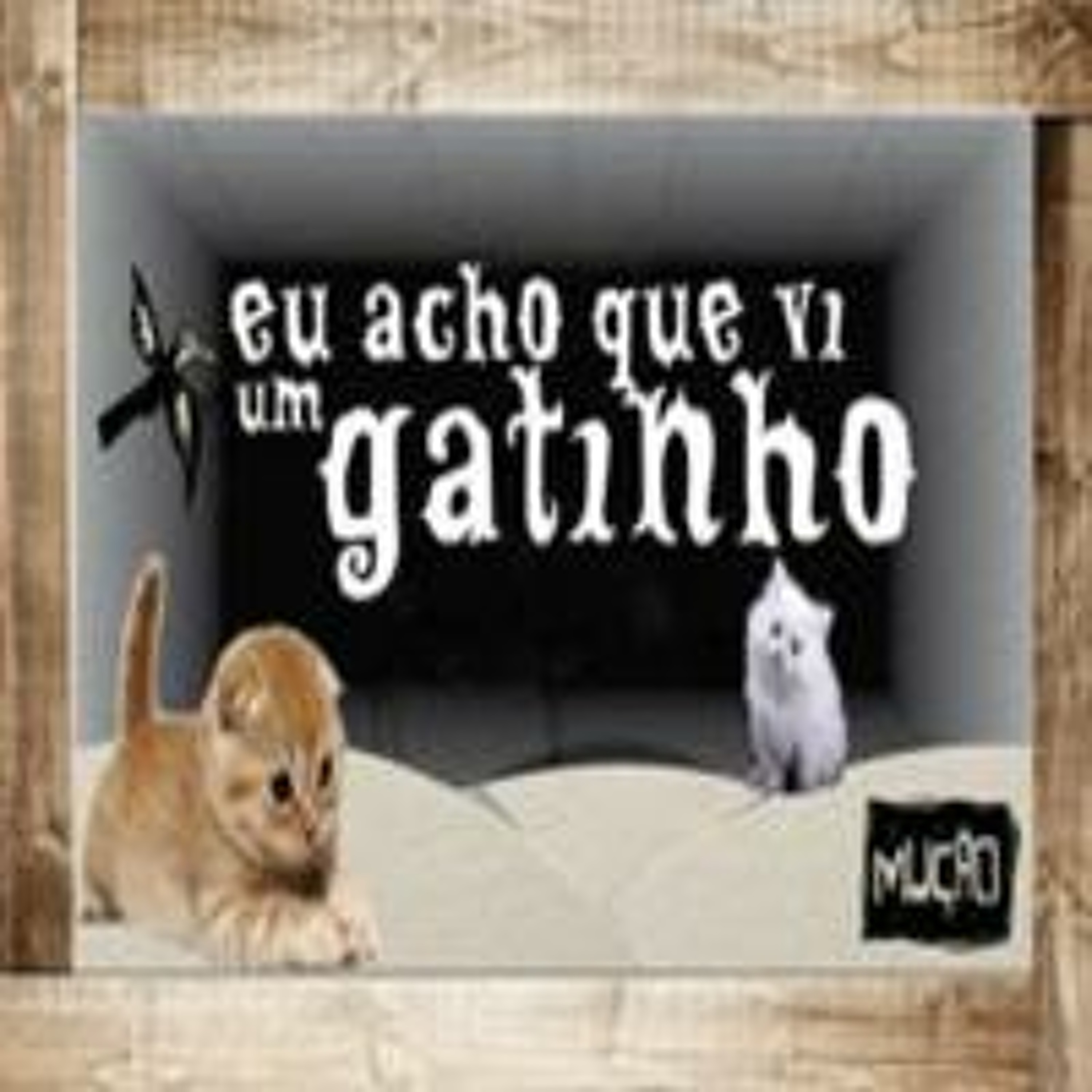 Eu Acho que Vi um Gatinho - Marisa