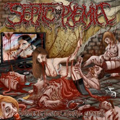 Menstrual Intoxication (2012)