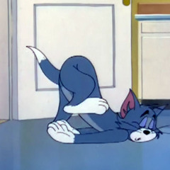 Tom sleepy Good Night Ladies
