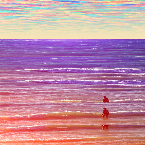 See the C by the Sea