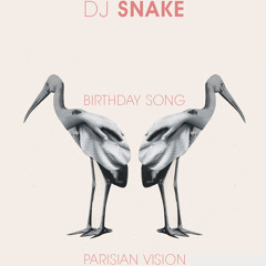 Dj Snake - Birthday Song (Parisian Vision)