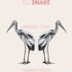on Dj Snake - Birthday Song (Parisian Vision)