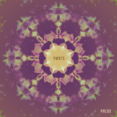 YWNTS (Full Album)