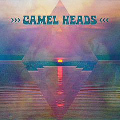 Camel Heads - Suraj