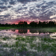 "so may it secretly begin" de Pat Metheny