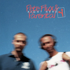 Pete Flux & Parental - Foreplay