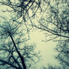 Blood Bank - Bon Iver (sample)