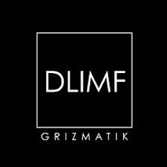 Grizmatik / Pretty Lights - Everyday is DLIMF