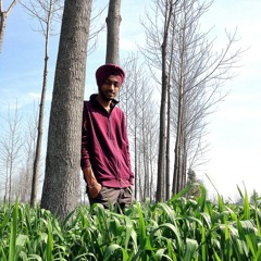 Jhanjar-kaka bhaniawala