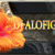 Artwork for ALOFIGIRL- Peheange mai - Linley Latu